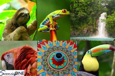 Colorful Costa Rica - Weds., Nov. 4 - Thurs., Nov. 12, 2026