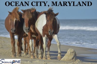 Ocean City, Maryland - Mon., Sept. 7 - Fri., Sept. 11, 2026