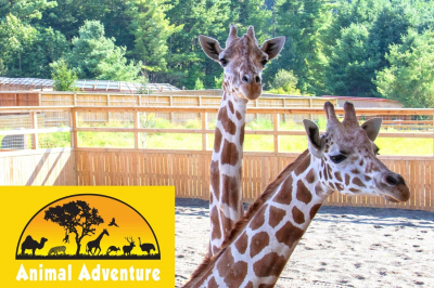 Feed, Explore & More!-Animal Adventure Park- Mon., June 29, 2026
