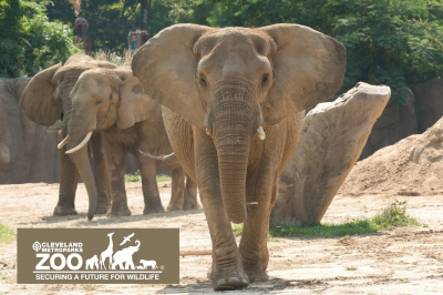 Cleveland Metroparks Zoo & Rainforest - Sun., June 28, 2026  Cleveland Metroparks Zoo & Rainforest - Sun., June 28, 2026