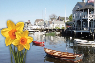 Nantucket Daffodil Weekend - April 23-26, 2027