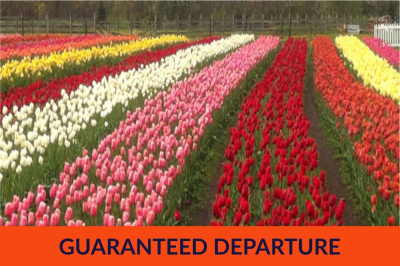 Tulip Time in Ottawa via Rail - May 12 - 14, 2026 Tulip Time in Ottawa via Rail - May 12 - 14, 2026