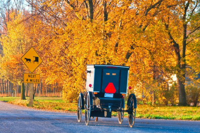 Amish Harvest - Thurs., Oct. 15, 2026  Amish Harvest - Thurs., Oct. 15, 2026