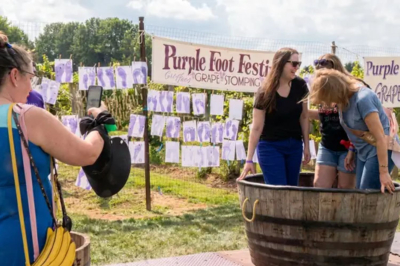 Purple Foot Festival - Casa Larga Vineyard -Sun., Sept. 13, 2026