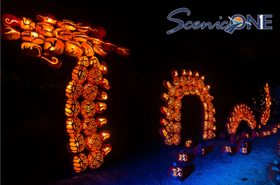 Scenic One: Jack'O Lantern Blaze - Oct. 14-17, 2026