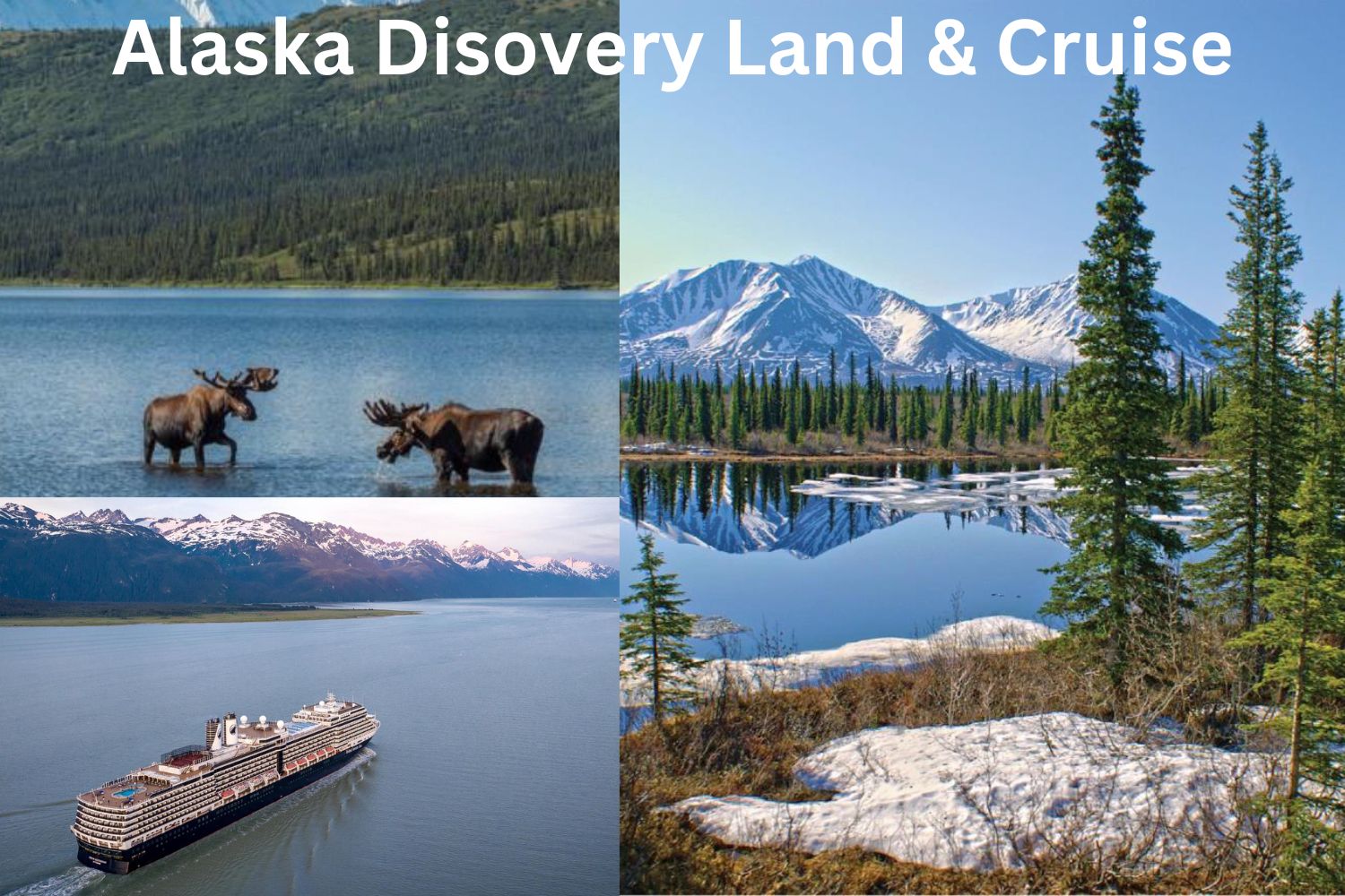 Alaska Discovery Land & Cruise - July 31 - August 11, 2024