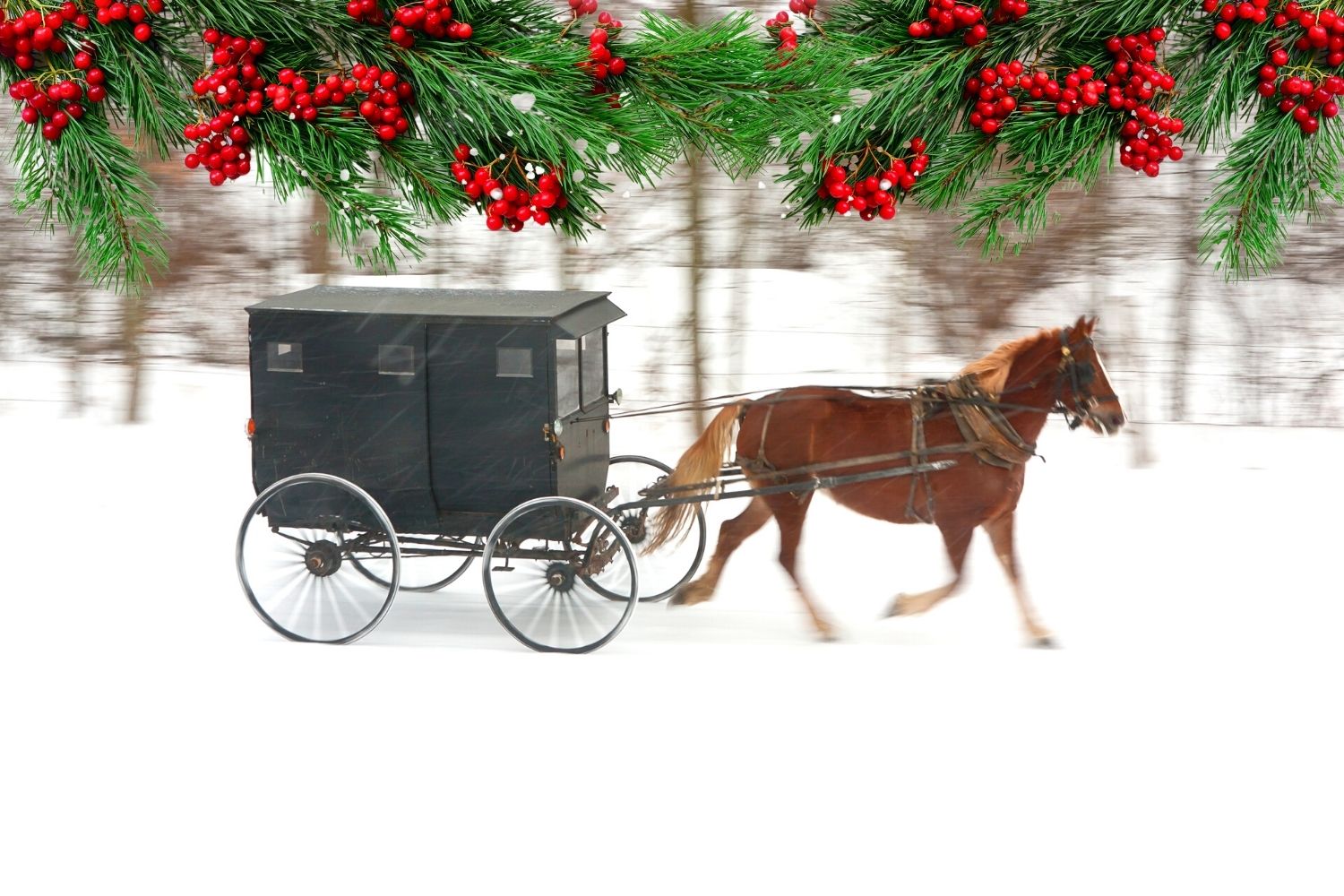 Amish Christmas - Middlefield, OH- Sat., Nov. 18, 2023