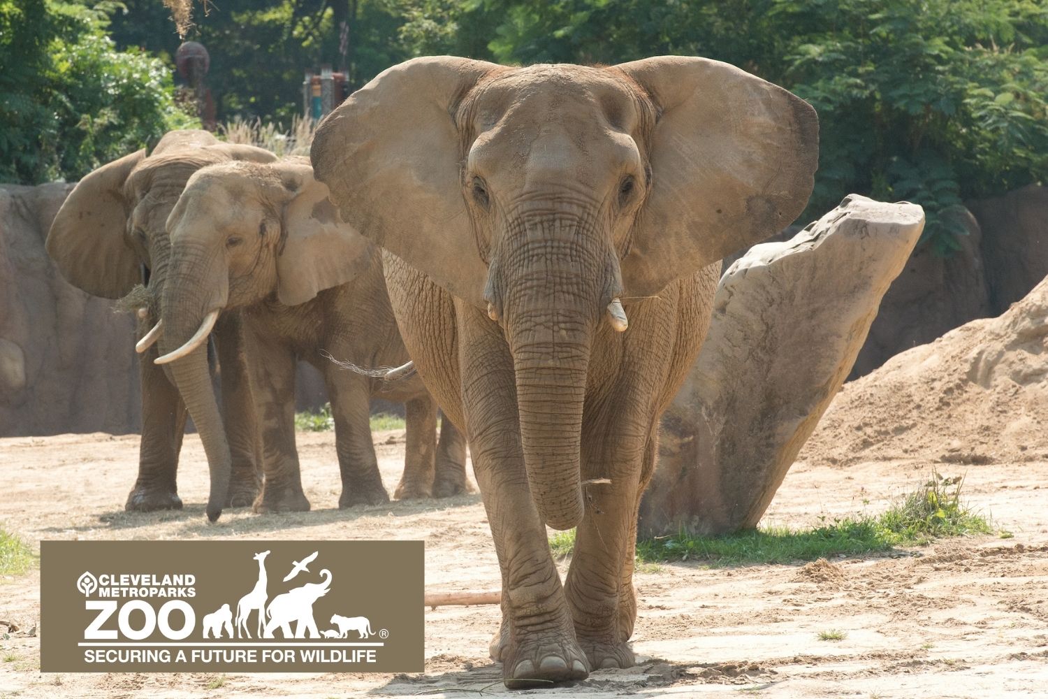 Cleveland Metroparks Zoo & Rainforest - Sun., June 28, 2026