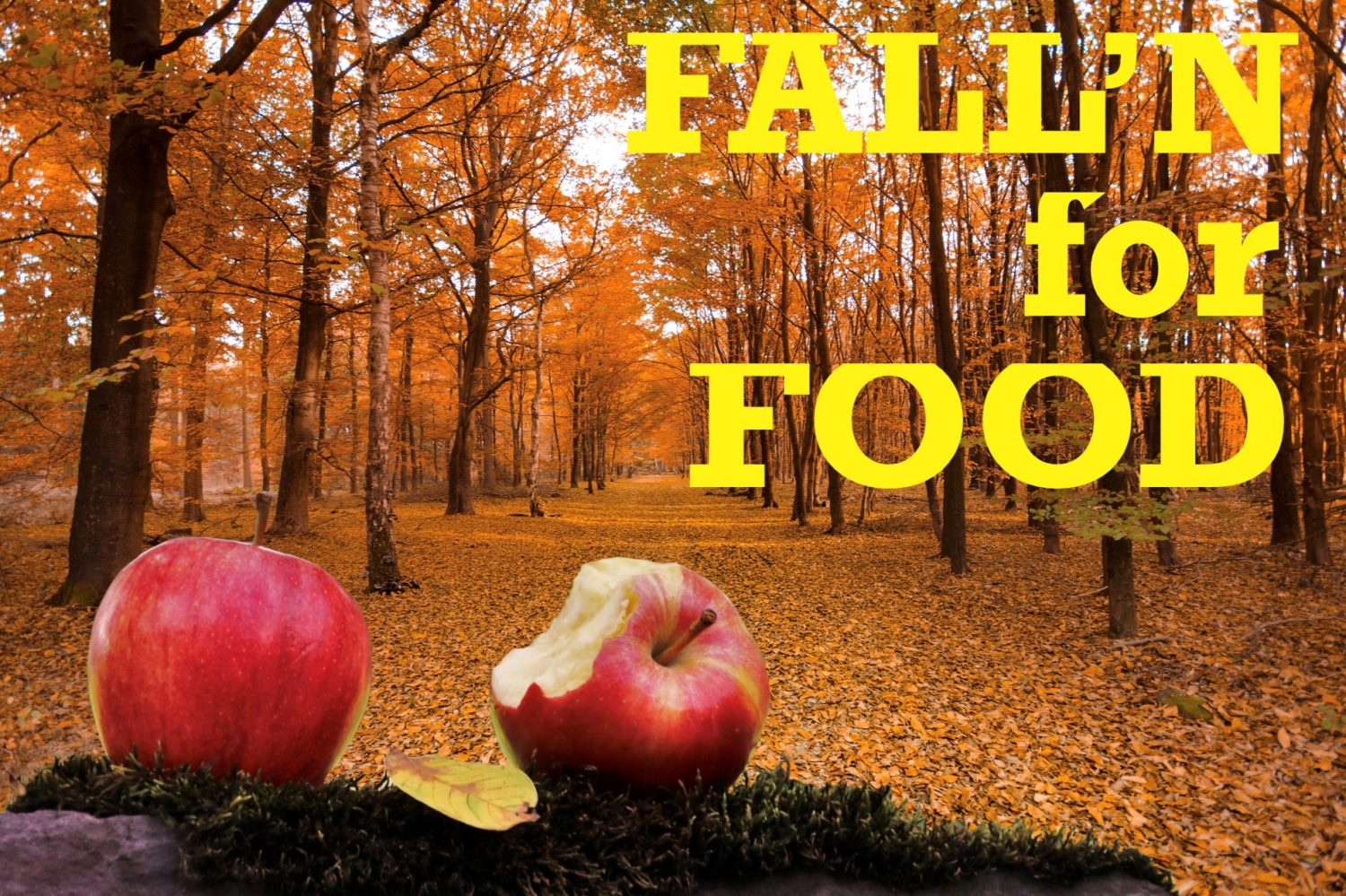 Fall\'N for Food - Thurs., Oct. 20, 2022