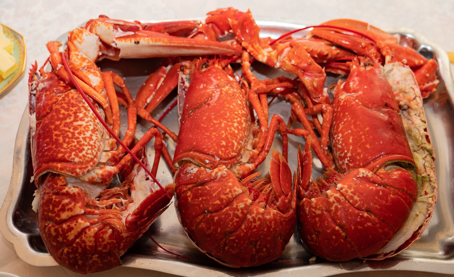 Lobsterpalooza - July 18 to July 20, 2024