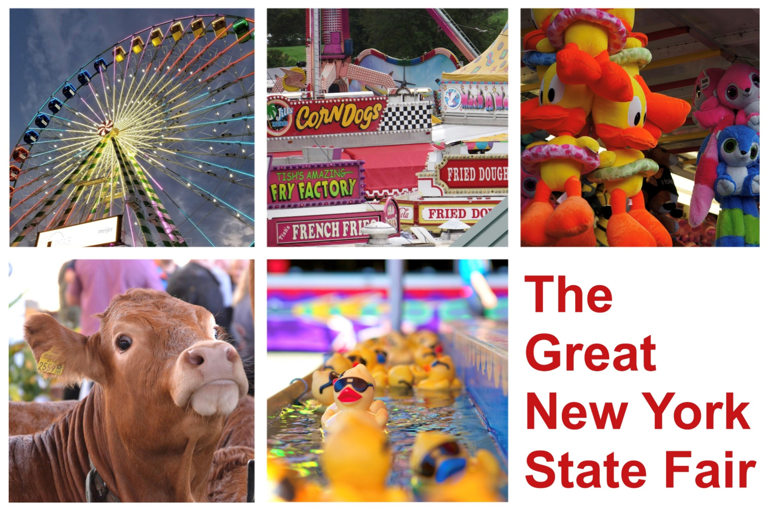 New York State Fair - Tues., Aug 27, 2024