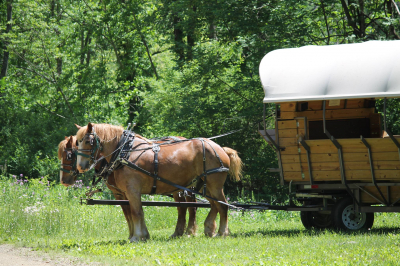 Wagon Ride in Pine Creek Gorge - Tue., June 6, 2023 Wagon Ride in Pine Creek Gorge - Tue., June 6, 2023