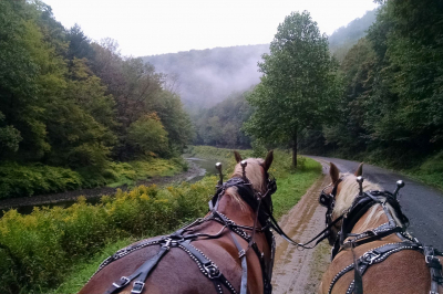 Wagon Ride in Pine Creek Gorge - Tue., June 6, 2023 Wagon Ride in Pine Creek Gorge - Tue., June 6, 2023