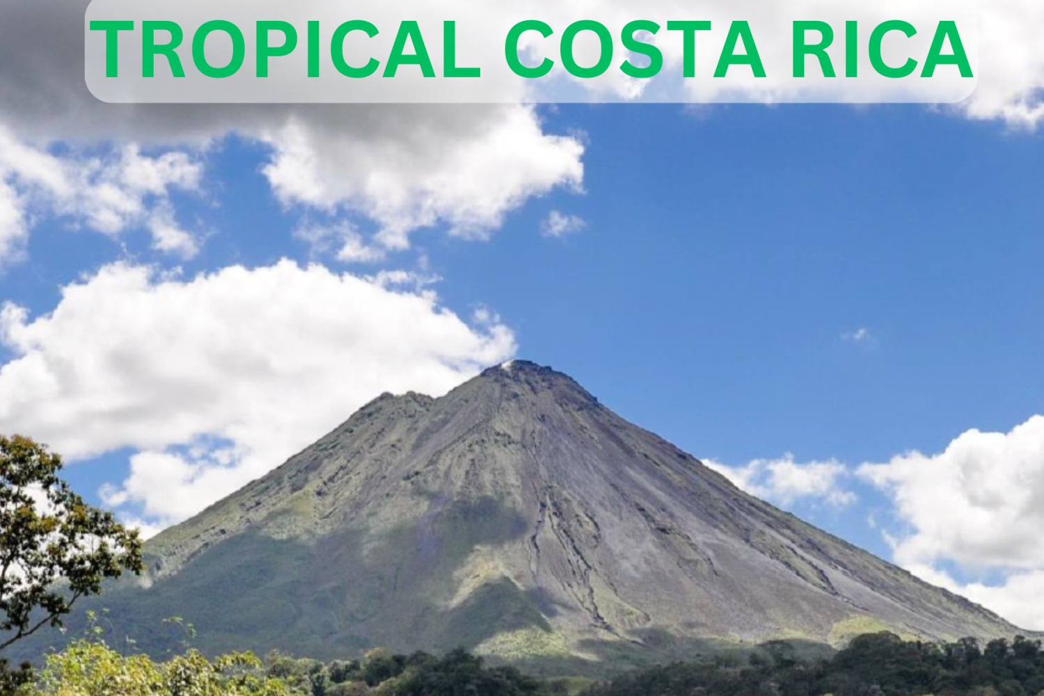 Tropical Costa Rica - Jan. 26 - Feb. 3, 2026