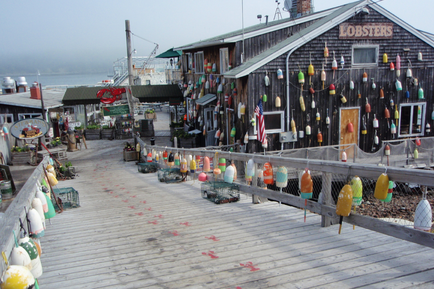 Maine\'s Rocky Coast - September 28-October 3, 2026