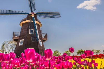 Holland Windmills & Tulips River Cruise - April 20-28, 2026  Holland Windmills & Tulips River Cruise - April 20-28, 2026